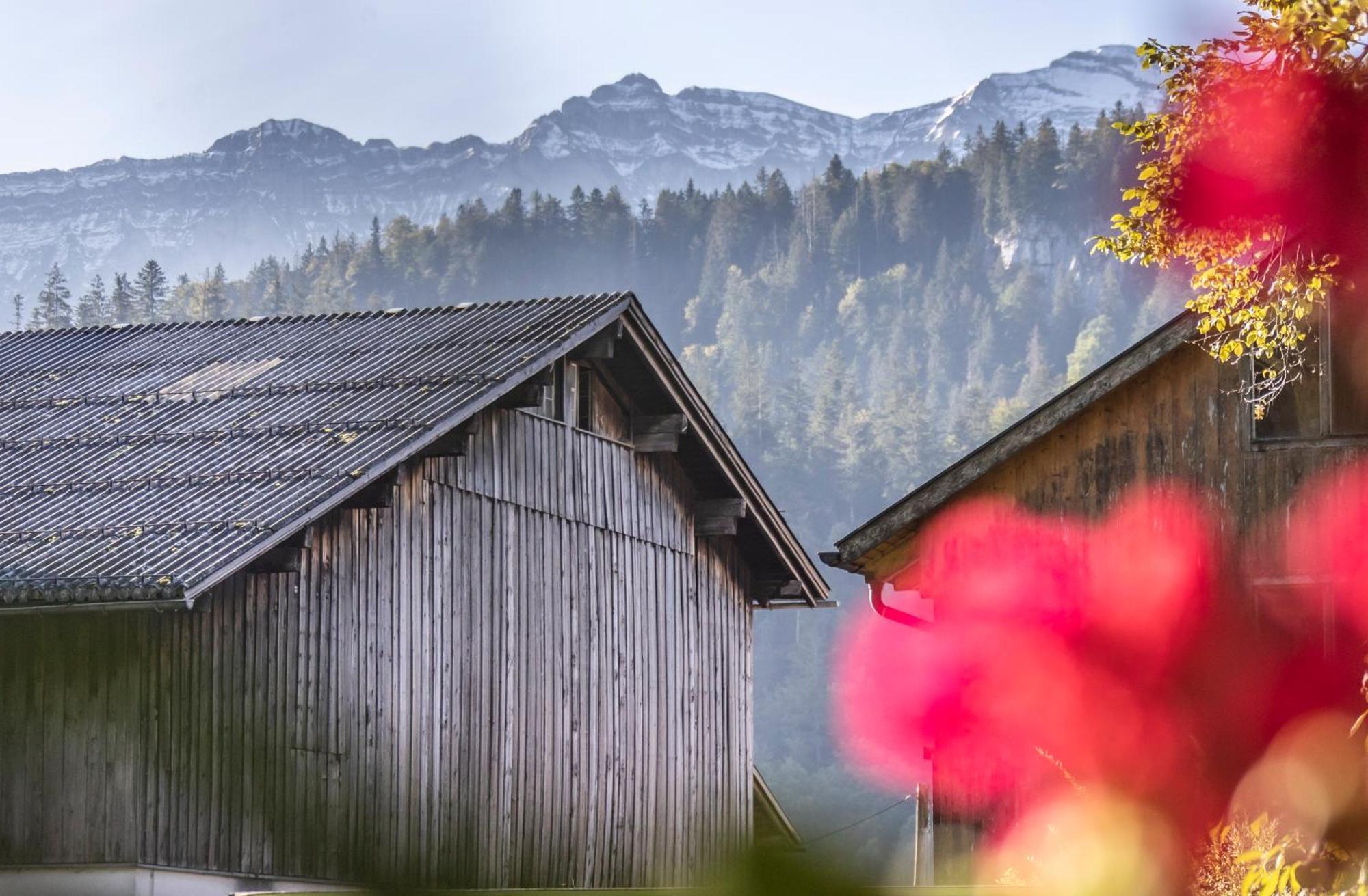 Ferienwohnung Greber Gertraud Bezau Exteriör bild